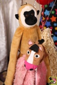 Monkey see, monkey do