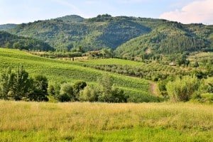 Selfie in Tuscany anyone?