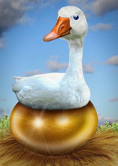 16339664626_d02e26ed33_z