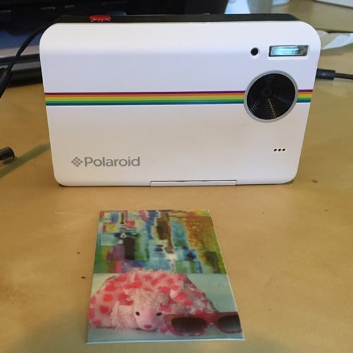 POLAROID.jpg