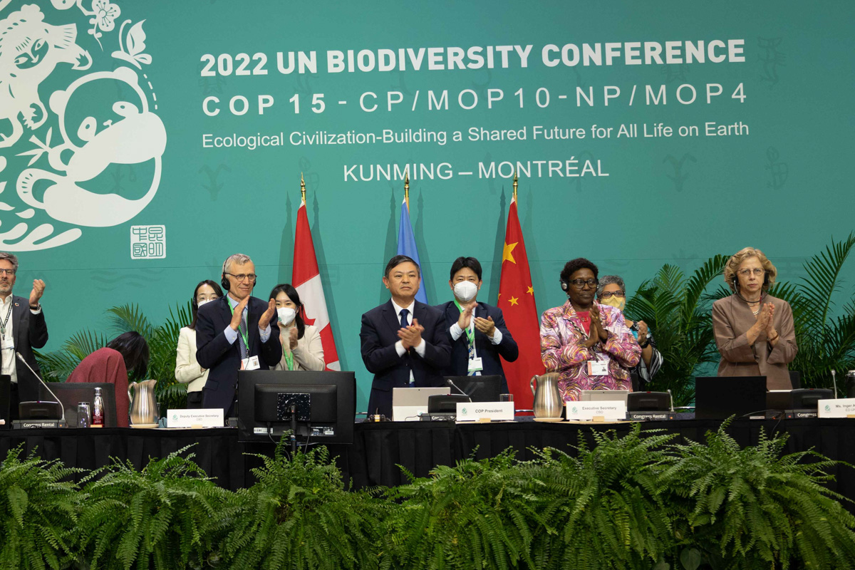 julian-haber-conference-photography-montreal-palais-des-congres-un-cop15 International summit photography of the 2022 UN Biodiversity Conference (COP15) at Palais des congrès de Montréal — Julian Haber