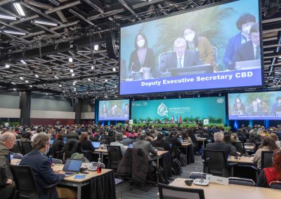 Main stage proceedings and digital displays at the UN COP15 Biodiversity Summit, Montreal.